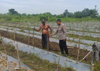 Kapolsek Tarik Turunkan Personel Bantu Petani