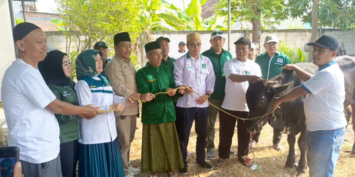 DPC PKB Sidoarjo Kurban Satu Sapi dan 23 Kambing Dibagikan Masyarakat