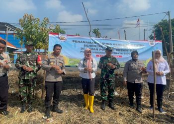 Manfaatkan Lahan Tidur, Polsek Gedangan Gelar Tanam Jagung Serentak