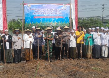 Forkopimka Krian Tanam Jagung Bersama Santri di Pondok Pesantren Darul Falah