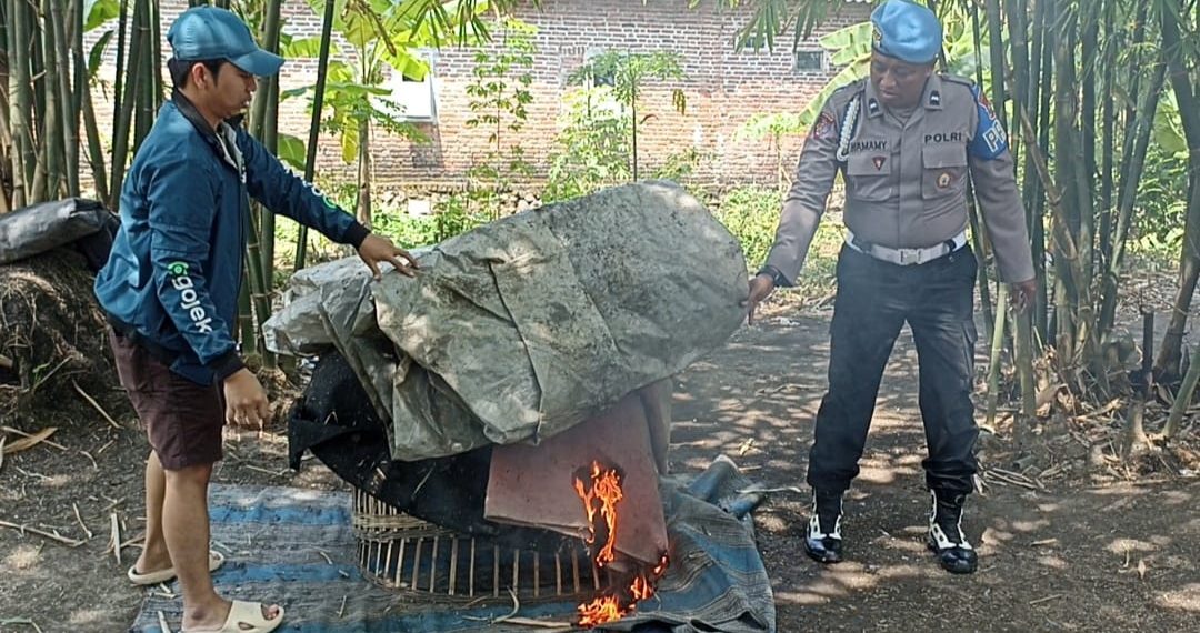 Respon Laporan Warga, Polisi Bongkar Arena Sabung Ayam di Seketi Balongbendo