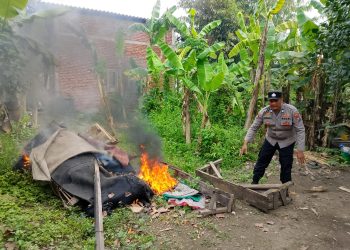 Respon Keluhan Warga Polisi Bongkar Arena Sabung Ayam di Plumbungan Sukodono
