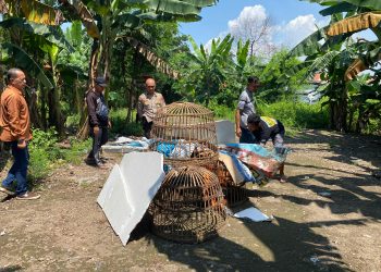 Dapatkan Laporan Masyarakat, Polsek Sedati Datangi Perjudian Sabung Ayam