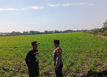 Upaya Polsek Tarik Dorong Program Ketahanan Pangan, Bhabinkamtibmas Dampingi Petani