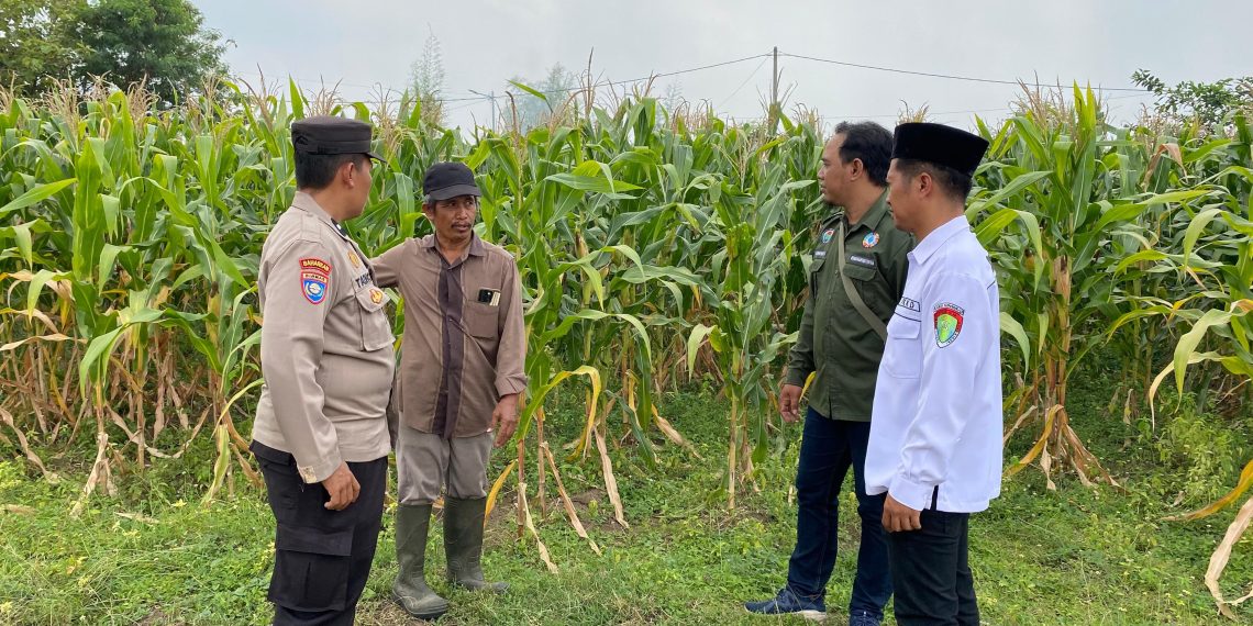 Bhabinkamtibmas Balongbendo Dampingi Petani Sukseskan Ketahanan Pangan