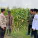 Bhabinkamtibmas Balongbendo Dampingi Petani Sukseskan Ketahanan Pangan