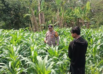 Polsek Tarik Gandeng Ponpes Gencarkan Program Ketahanan Pangan