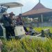 Wabup Mimik﻿ Idayana﻿ Senang Panen Raya Padi di Pertapan Maduretno Inisiasi TMI Berhasil