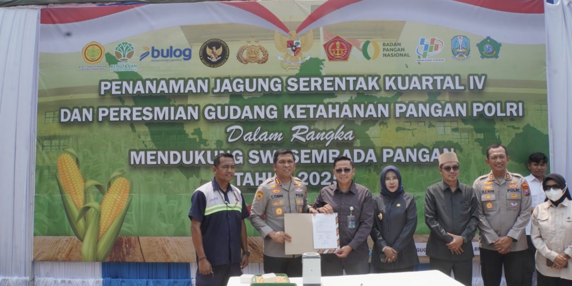 Dukung Swasembada Pangan, Polresta Sidoarjo Tanam Jagung Kuartal IV