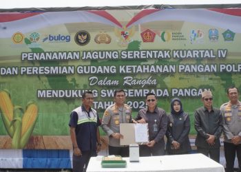 Dukung Swasembada Pangan, Polresta Sidoarjo Tanam Jagung Kuartal IV