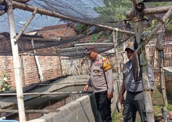 Polsek Tarik Lakukan Patroli Ketahanan Pangan di Desa Mergosari