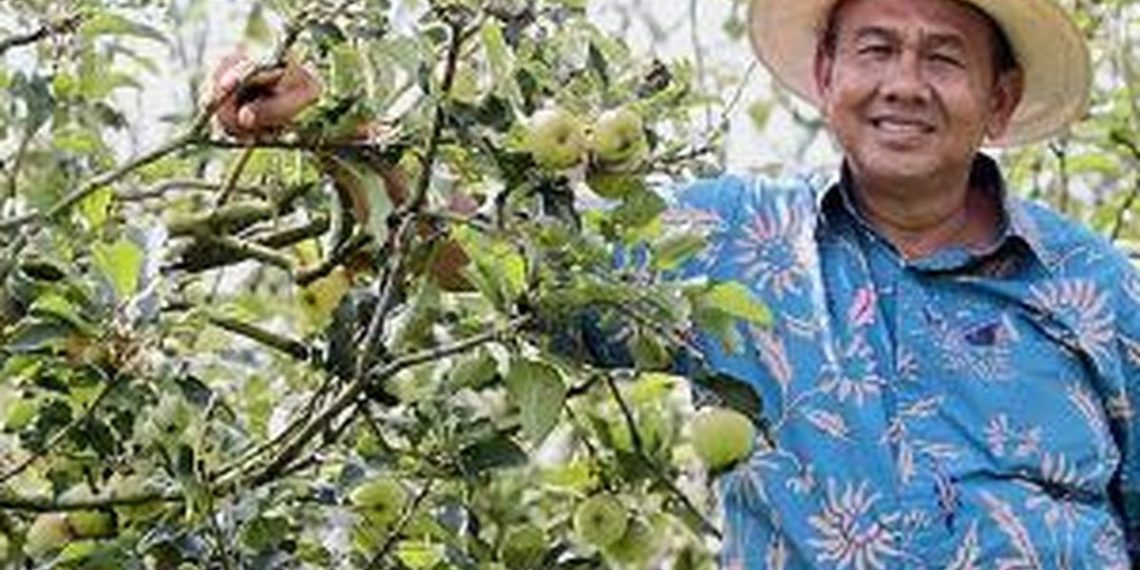 Petani Tak Lagi Tergantung Tengkulak, Ini Kemajuan