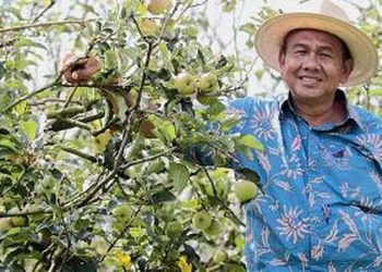 Petani Tak Lagi Tergantung Tengkulak, Ini Kemajuan