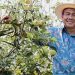 Petani Tak Lagi Tergantung Tengkulak, Ini Kemajuan