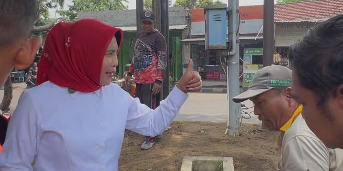 Antisipasi Bencana Tumbang, Wabup Mimik Idayana Minta DLHK Intensif Kepras Ranting Pohon