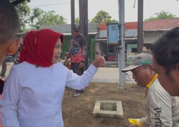 Antisipasi Bencana Tumbang, Wabup Mimik Idayana Minta DLHK Intensif Kepras Ranting Pohon