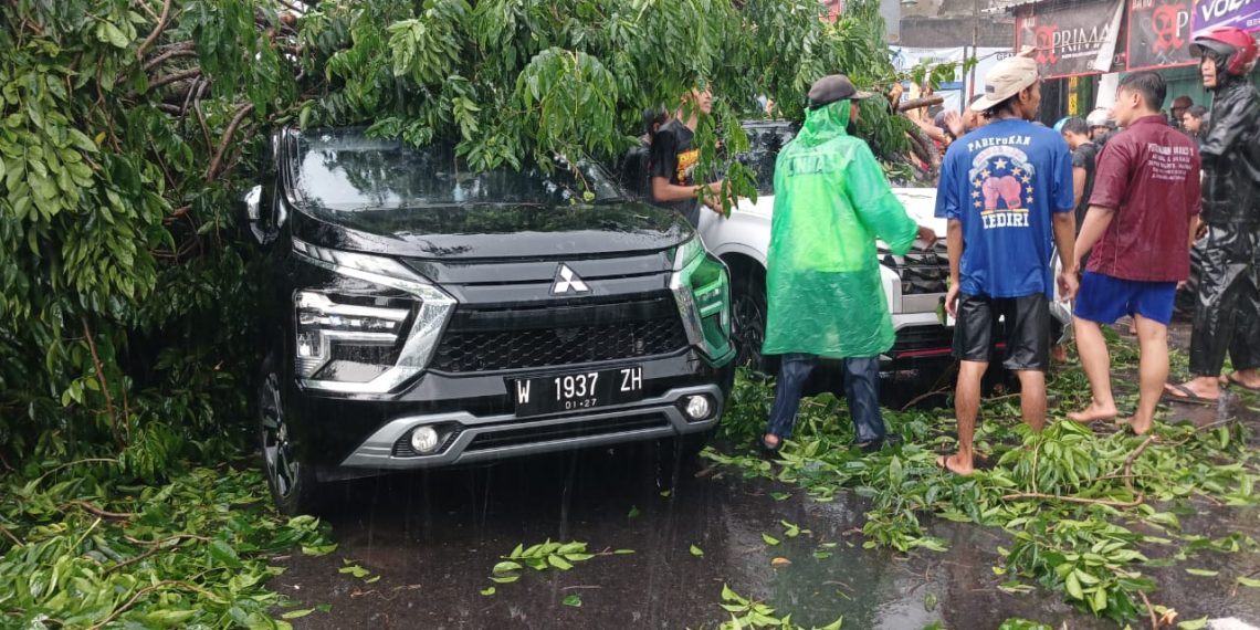 Pohon Tumbang Timpa Mobil di Buduran, Polsek Buduran Gerak Cepat Lakukan Penanganan