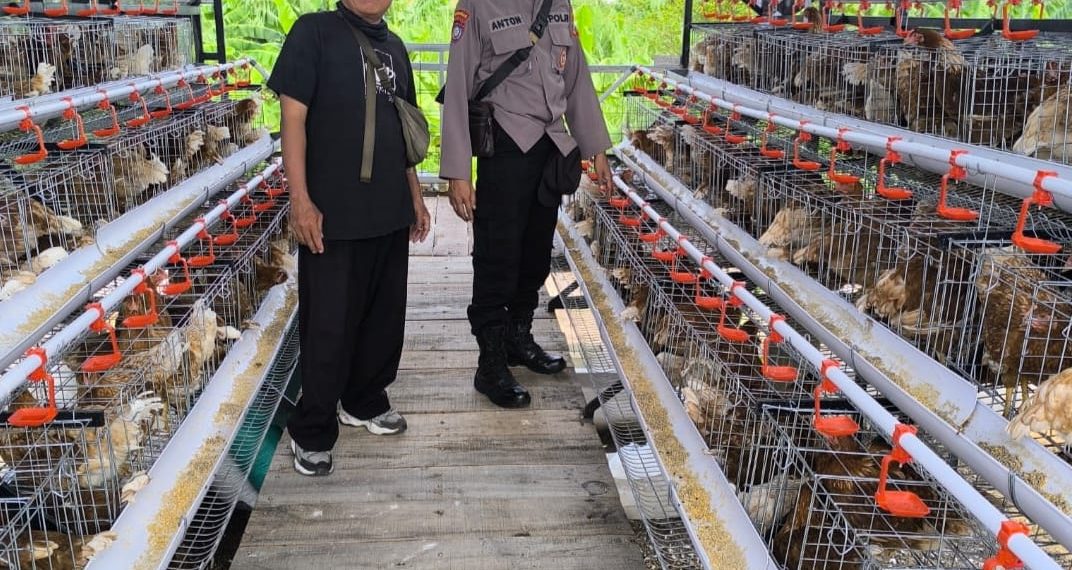 Bhabinkamtibmas Sidodadi Sambangi Peternakan Ayam Petelur, Tingkatkan Ketahanan Pangan