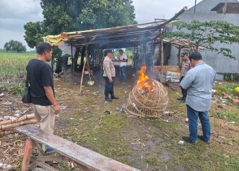 Respon Aduan Warga, Polsek Tulangan Langsung Bubarkan Sabung Ayam