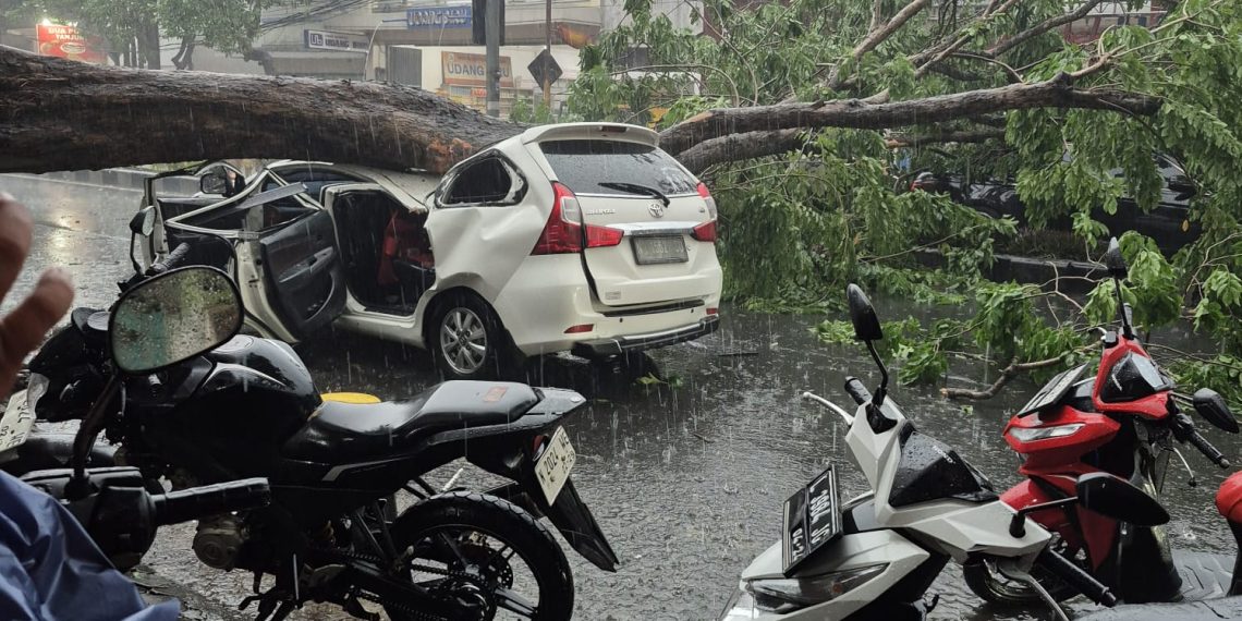 Hujan Angin, Pohon Tumbang Timpa Mobil di Jl Mojopahit Sidoarjo
