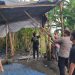 Warga Laporkan Sabung Ayam di Desa Ploso Krembung, Polisi Turun Langsung ke Lokasi