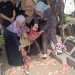 Wabup Mimik﻿ Idayana﻿ Ziarah Makam Mantan﻿ Bupati Sidoarjo Chudlori Amir dan Wabup Nur Ahmad﻿ Syaifuddin﻿