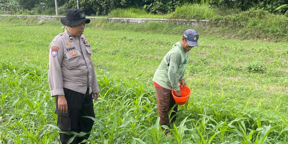 Bhabinkamtibmas Bakung Temenggungan Optimalkan Lahan Jagung Ketahanan Pangan