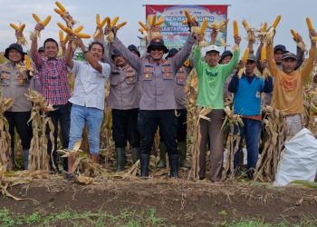 Polsek Balongbendo Gelar Panen Raya Jagung Serentak Kuartal I 2026