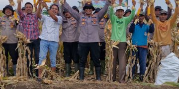 Polsek Balongbendo Gelar Panen Raya Jagung Serentak Kuartal I 2026