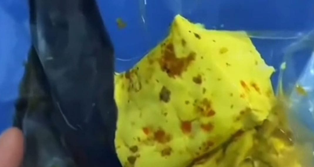 Video Dugaan SPPG Desa Temu Bagikan Lele Diduga Mentah Saat Ramadan Viral, Manajemen Bantah dan Klaim Sudah Sesuai SOP