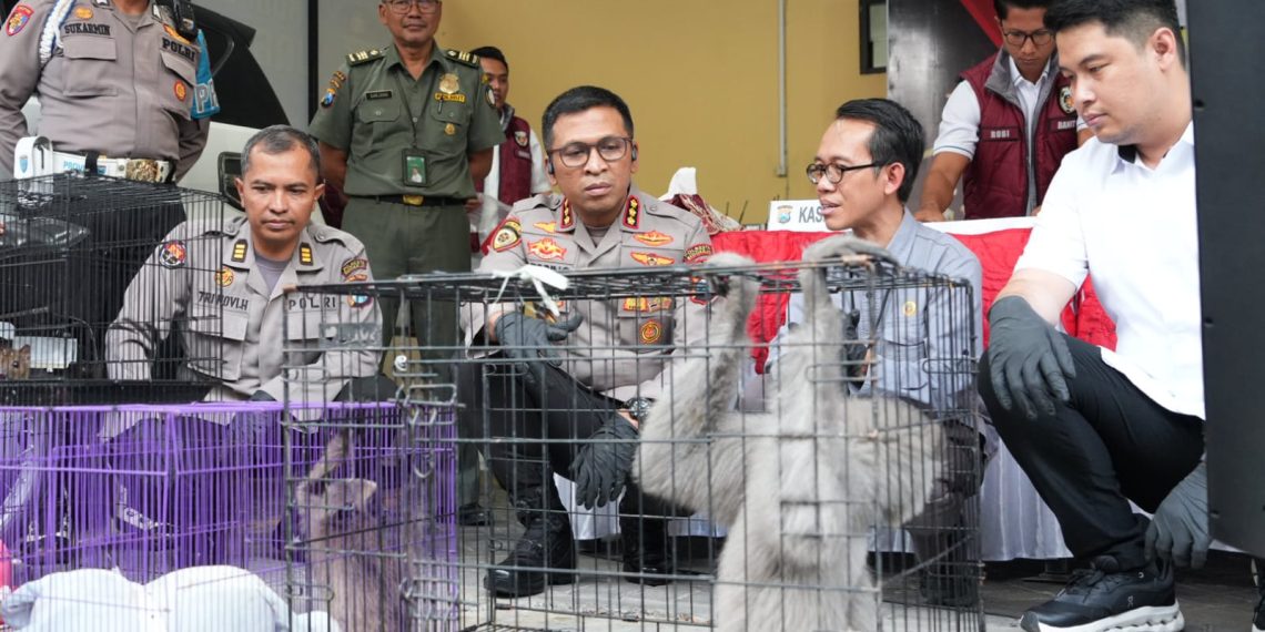 Polresta Sidoarjo Ungkap Perdagangan Satwa Dilindungi