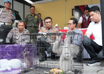 Polresta Sidoarjo Ungkap Perdagangan Satwa Dilindungi