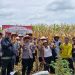 Polsek Balongbendo Panen Raya Jagung Dukung Ketahanan Pangan Nasional