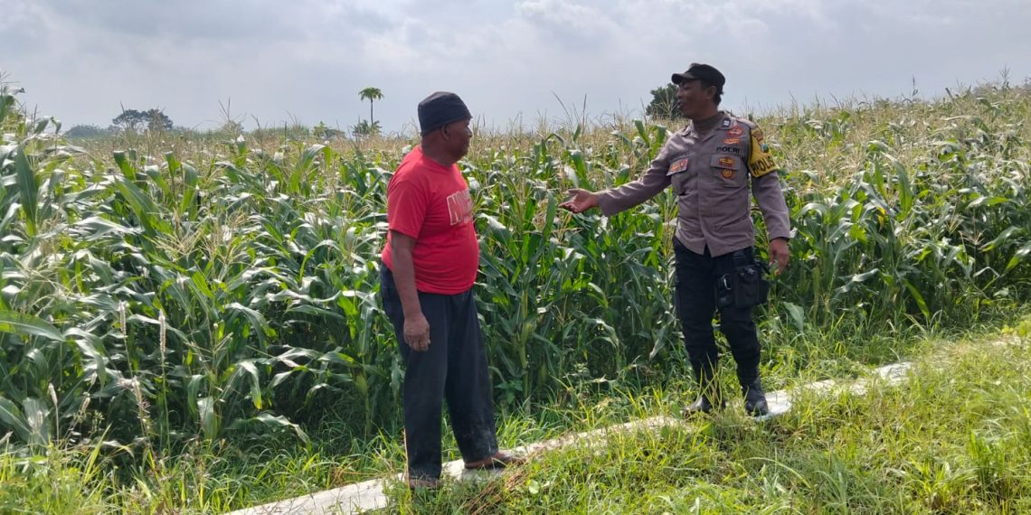Kapolresta Sidoarjo Instruksikan Jajaran Optimalkan Program Ketahanan Pangan