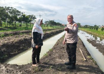 Polsek Krian  Pantau Lahan Jagung Ponpes Al Amanah Junwangi