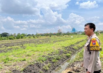 Polsek Taman Turunkan Bhabinkamtibmas Dampingi Pelaksanaan Ketahanan Pangan