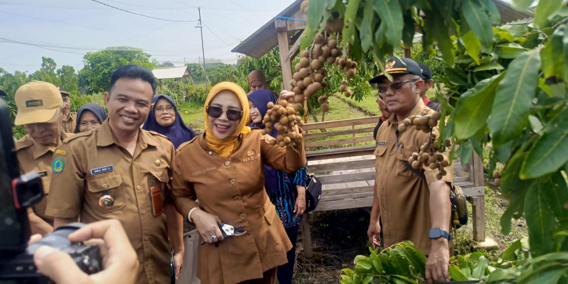 Panen Kelengkeng di Tulangan, Wabup Sidoarjo Mimik Idayana Dorong Pemanfaatan Lahan Tidur Jadi Agrowisata
