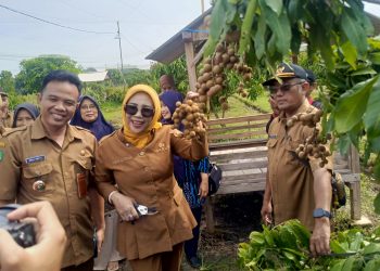 Panen Kelengkeng di Tulangan, Wabup Sidoarjo Mimik Idayana Dorong Pemanfaatan Lahan Tidur Jadi Agrowisata