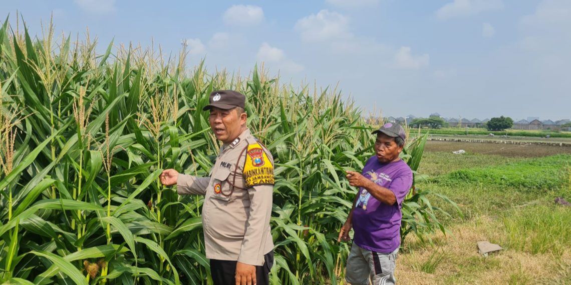 Polsek Candi Masif Dampingi Petani, Dukung Swasembada Pangan