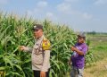 Polsek Candi Masif Dampingi Petani, Dukung Swasembada Pangan