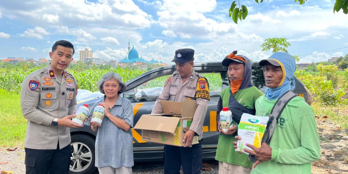 Polsek Taman Salurkan Bibit dan Pupuk untuk Dukung Lahan Jagung
