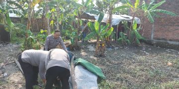 Polsek Gedangan Robohkan Arena Judi Sabung Ayam di Keboan Anom