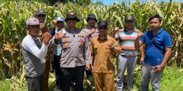Polresta Sidoarjo Gelorakan Swasembada Pangan Dampingi Warga Tani Kelola Jagung Hibrida