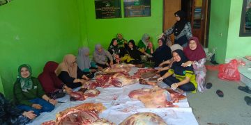 Guyup Rukun, PC Muslimat NU Sidoarjo Sembelih Kurban Dua Sapi Gemol
