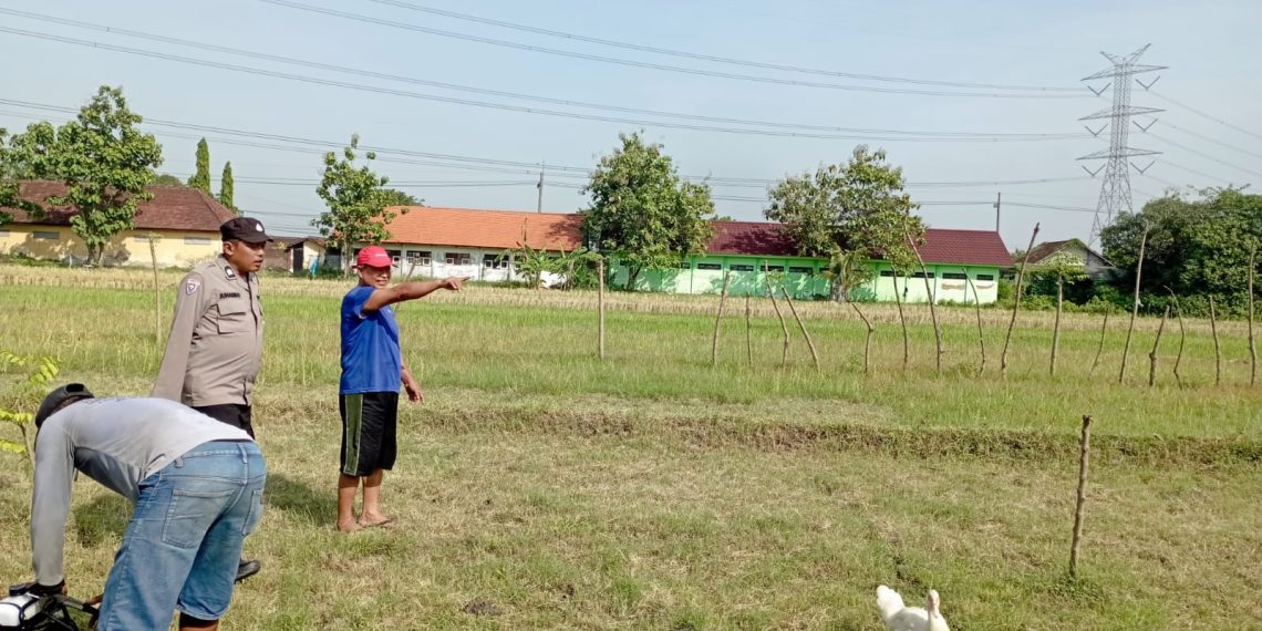 Polisi Sidoarjo Gandeng Gapoktan untuk Keberhasilan Tanaman Jagung