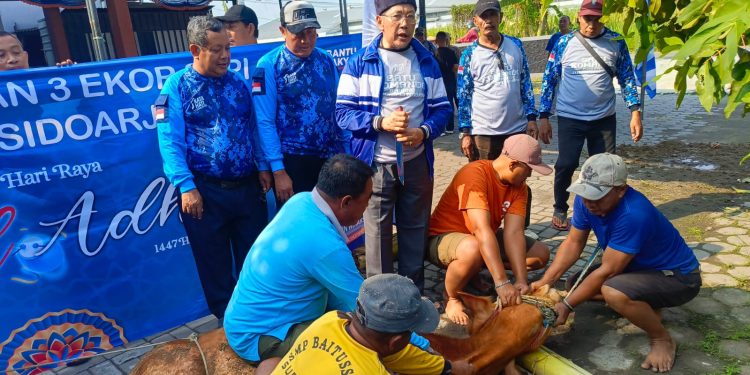 DPD PAN Sidoarjo Bagikan 700 Bungkus Daging Kurban ke Rakyat