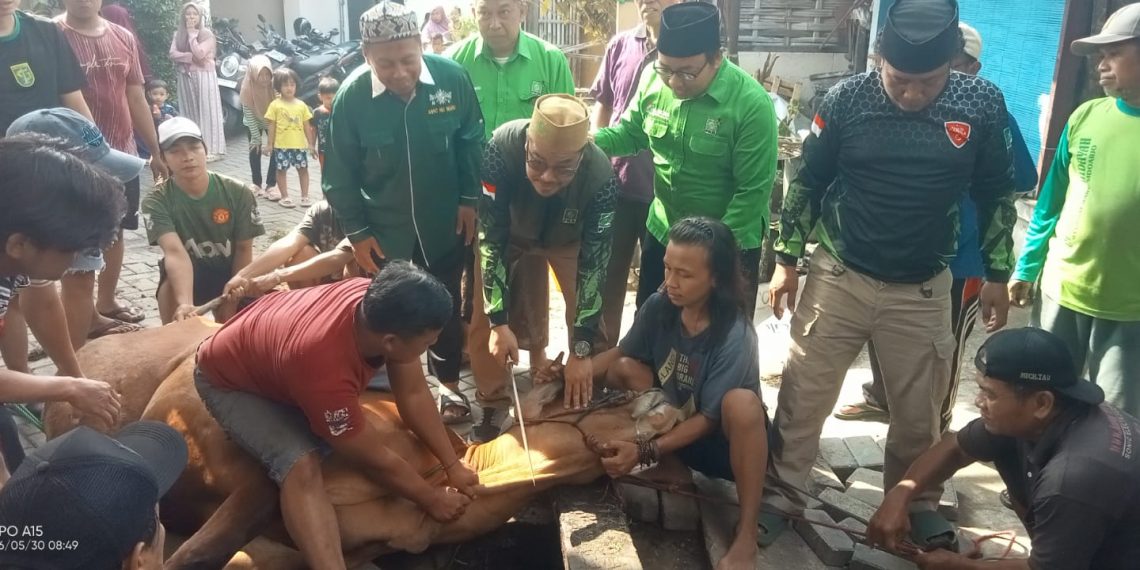 DPC PKB Sidoarjo Serahkan Satu Kurban Sapi ke PAC dan Warga Waru