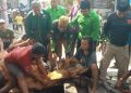 DPC PKB Sidoarjo Serahkan Satu Kurban Sapi ke PAC dan Warga Waru