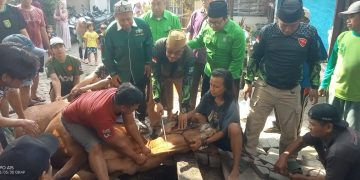DPC PKB Sidoarjo Serahkan Satu Kurban Sapi ke PAC dan Warga Waru
