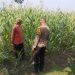 Bhabinkamtibmas Polsek Buduran Intensifkan Pengecekan Ladang Jagung